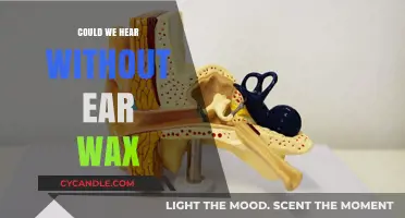 Could We Hear Without Ear Wax: Exploring the Role of Cerumen in Hearing