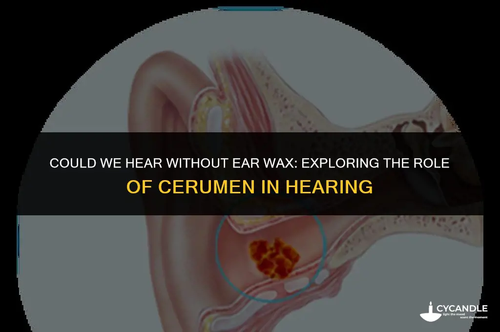 could we hear without ear wax
