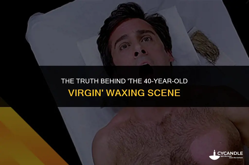 did 40 year old virgin really get waxed