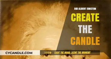 Einstein's Candle: Illuminating the Mind of a Genius