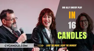 The Iconic Ally Sheedy: Was She in 16 Candles?