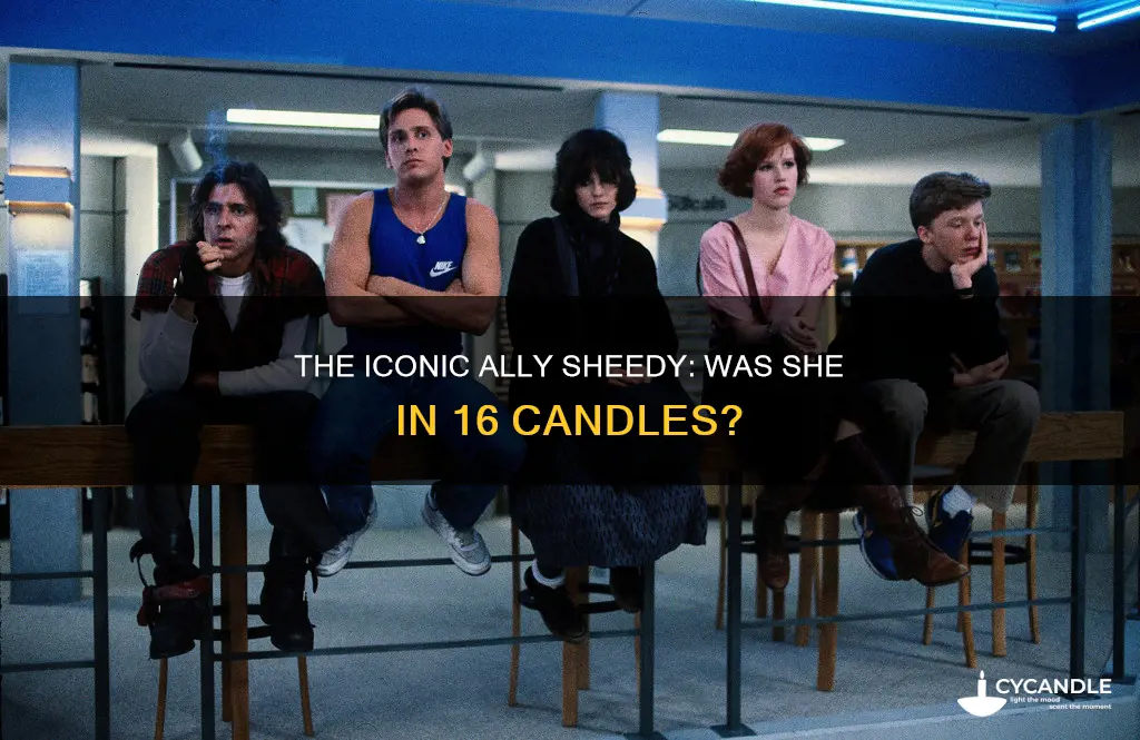 did ally sheedy play in 16 candles