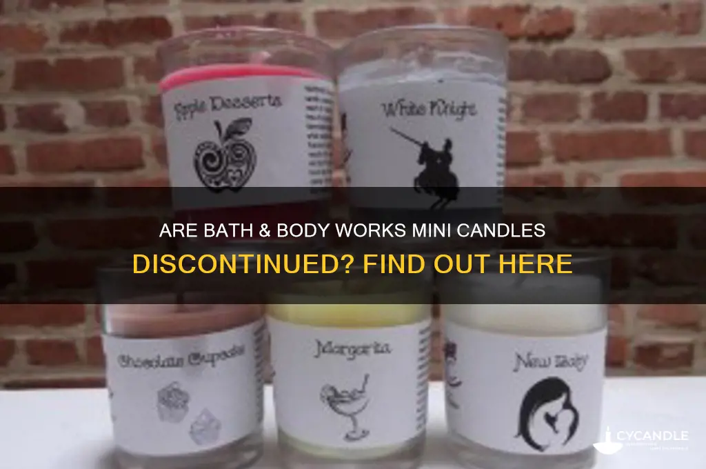 did bath and body works discontinued mini candles