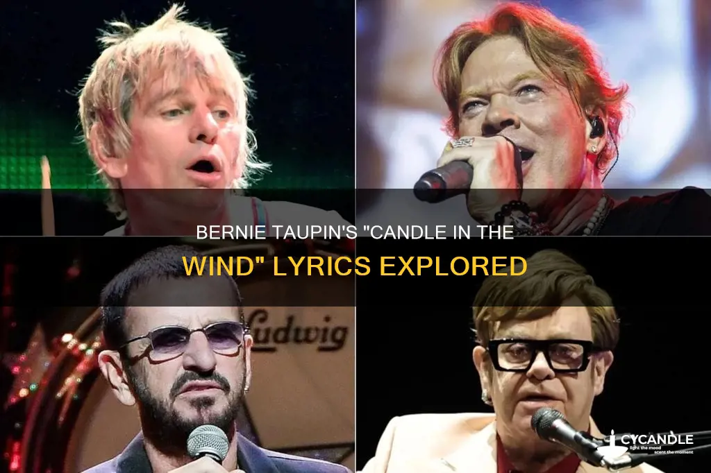 did bernie taupin write candle in the wind