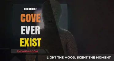 Unraveling the Mystery of Candle Cove's Existence