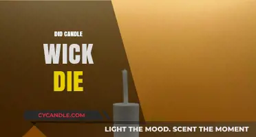 Did Candle Wick Die? Unraveling the Mystery Behind the Legend