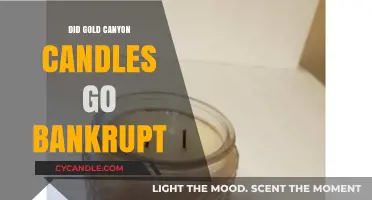 Gold Canyon Candles: Bankruptcy and the Business