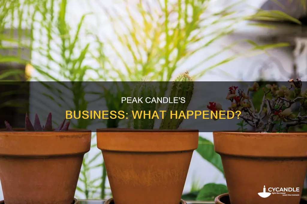 did peak candle go out of business