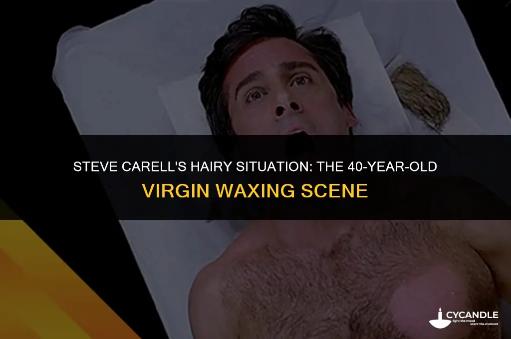 did steve carell get waxed in 40 year old