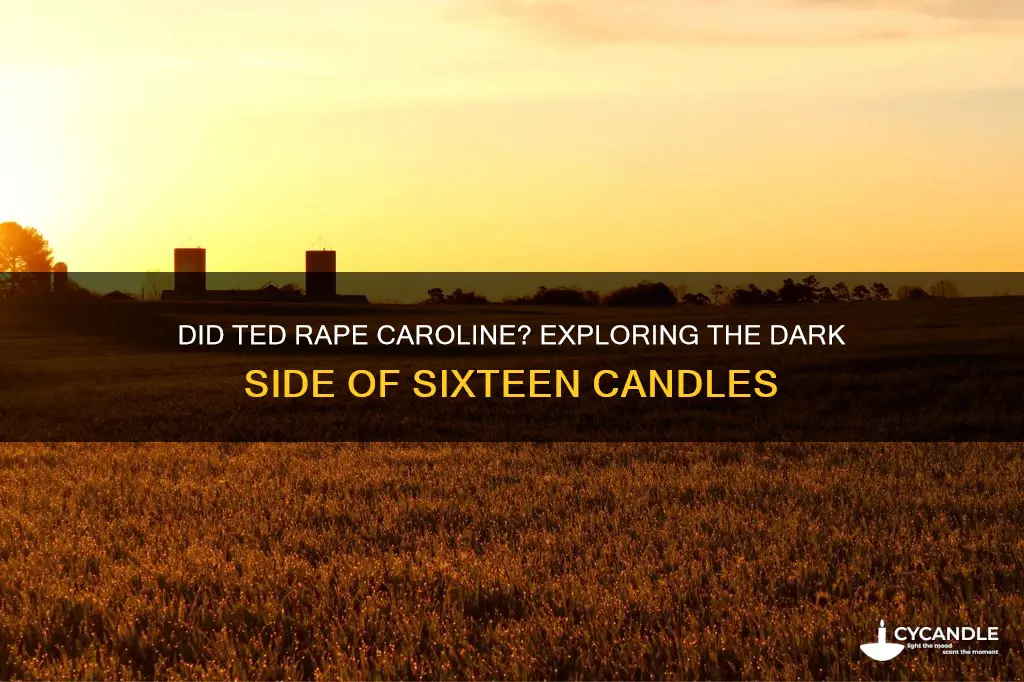 did ted rape caroline in sixteen candles