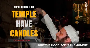 The Menorah: Oil or Candles?