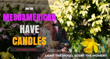 The Mesoamerican Candle Mystery: Did They Have Them?