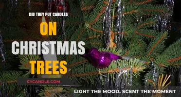 Did They Put Candles on Christmas Trees? Uncovering the Tradition