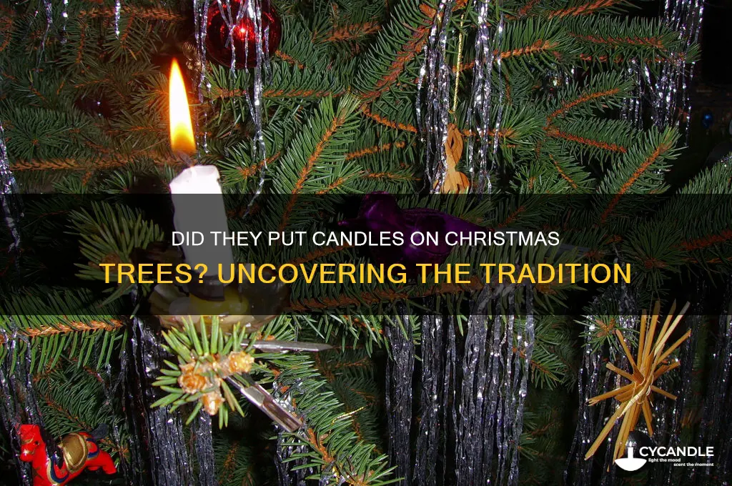 did they put candles on christmas trees