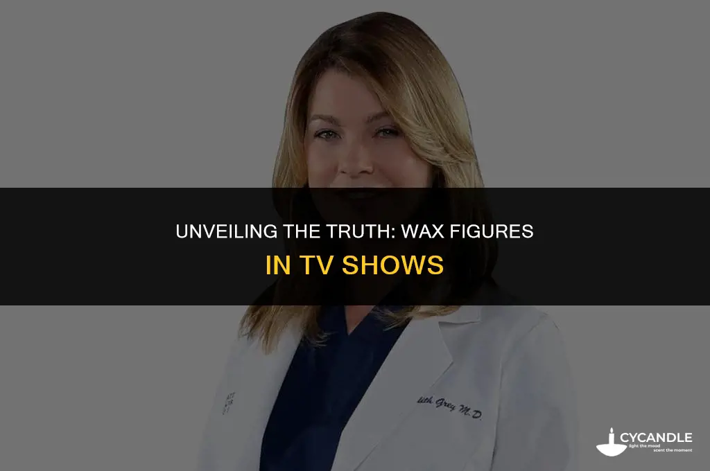 did they use a wax figure for meredith grey