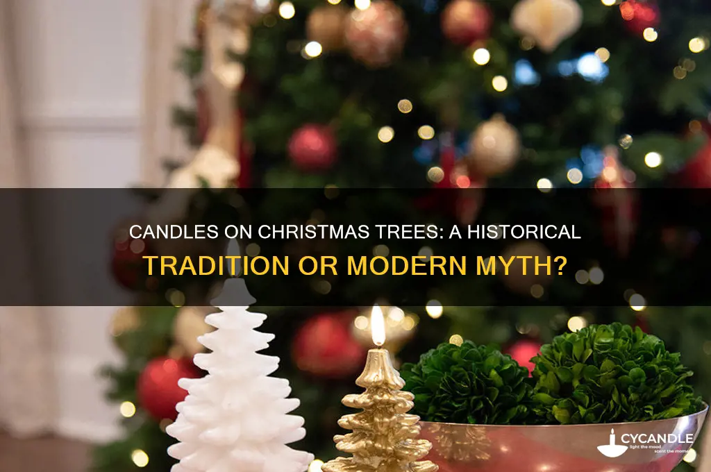 did they used to put candles on christmas trees
