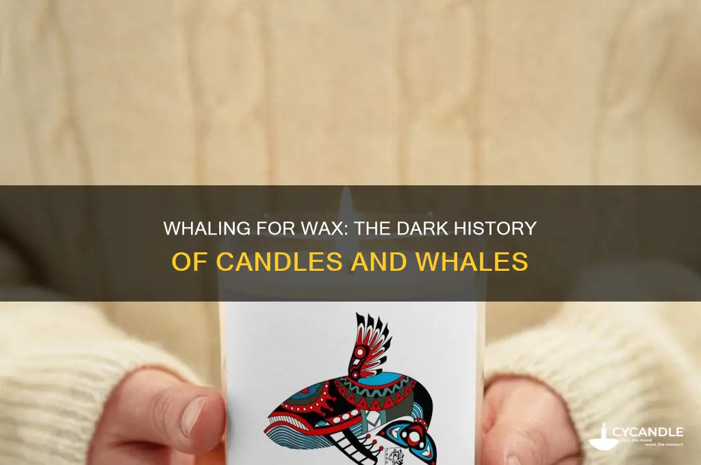 did we kill whales to make candles