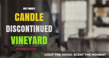 Is Vineyard Scent Gone? Yankee Candle Discontinuation Explained