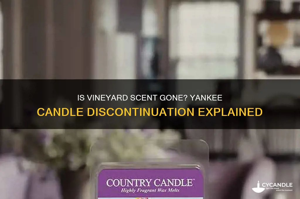 did yankee candle discontinued vineyard