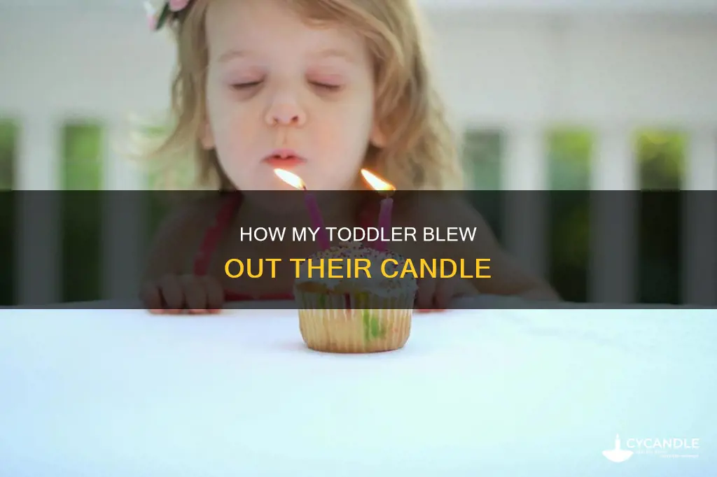 did your 1 year old blow out their own candle