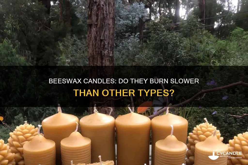 do 100 beeswax candles burn slower