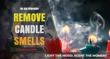 Air Purifiers: Can They Remove Candle Scents?