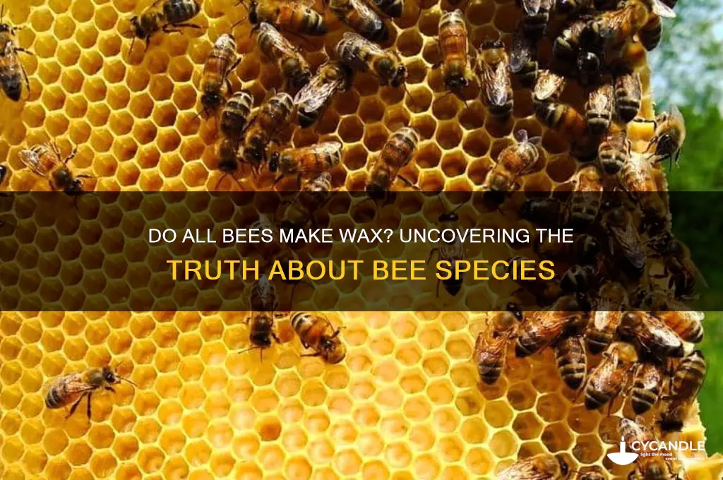do all bees make wax