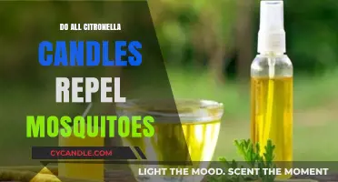 Citronella Candles: Effective Mosquito Repellent or Just a Scent?