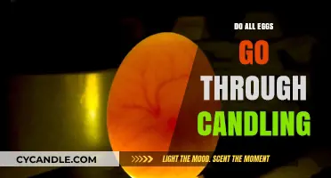 Candling: A Necessary Process for All Eggs?