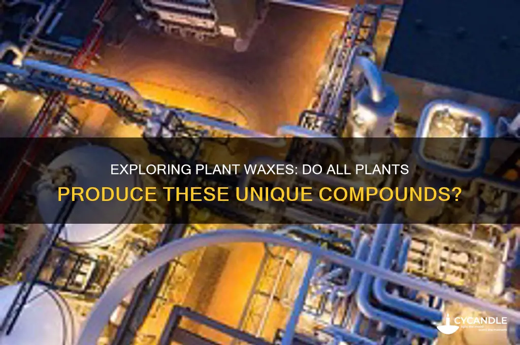 do all plants make waxes