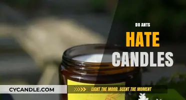 Ants and Candles: A Natural Repellent?