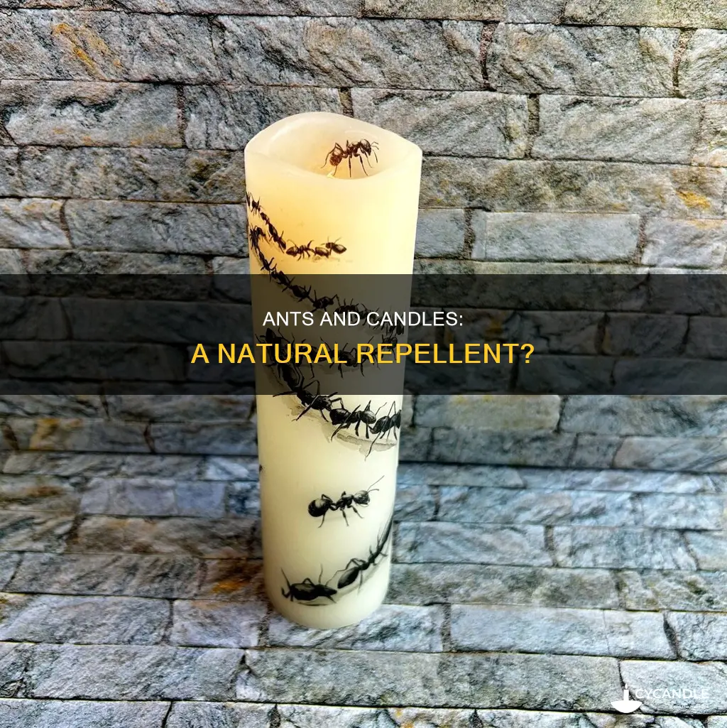 do ants hate candles