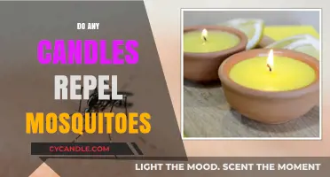The Best Candles to Repel Mosquitoes