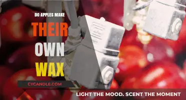 Do Apples Naturally Produce Wax? Uncovering the Truth Behind the Shine