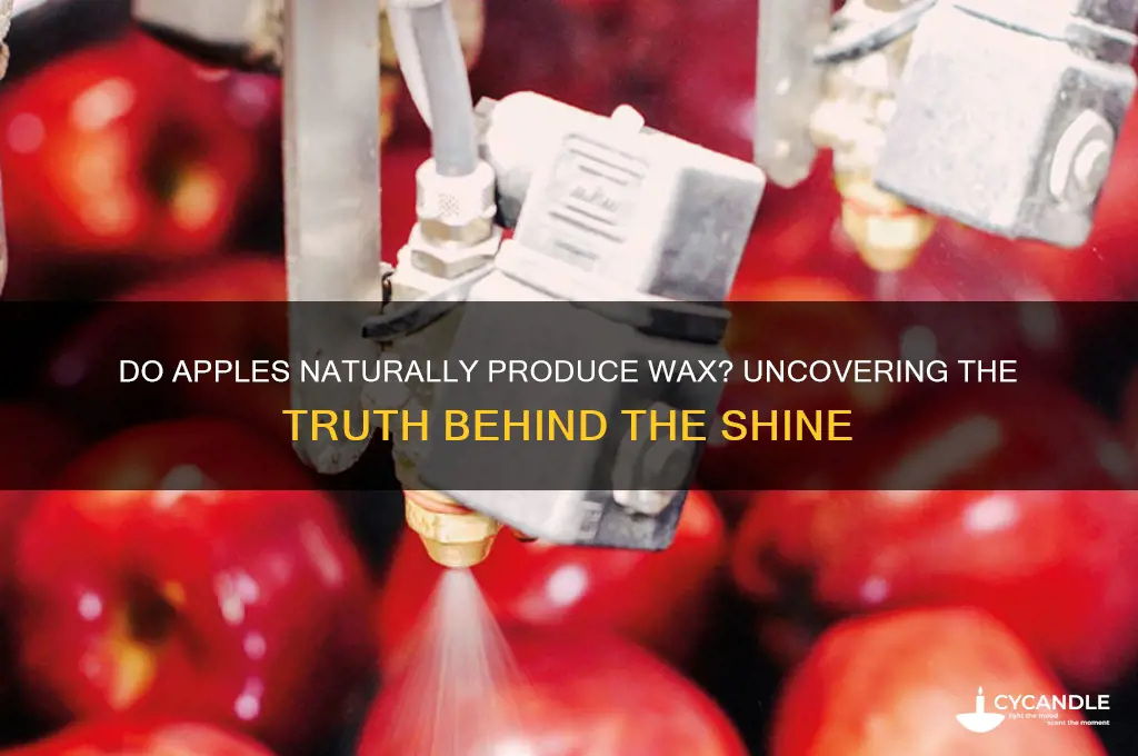 do apples make their own wax