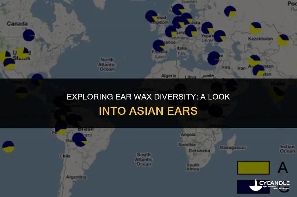 do asians have different ear wax