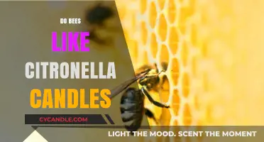 Citronella Candles: Are They Bee-Friendly?