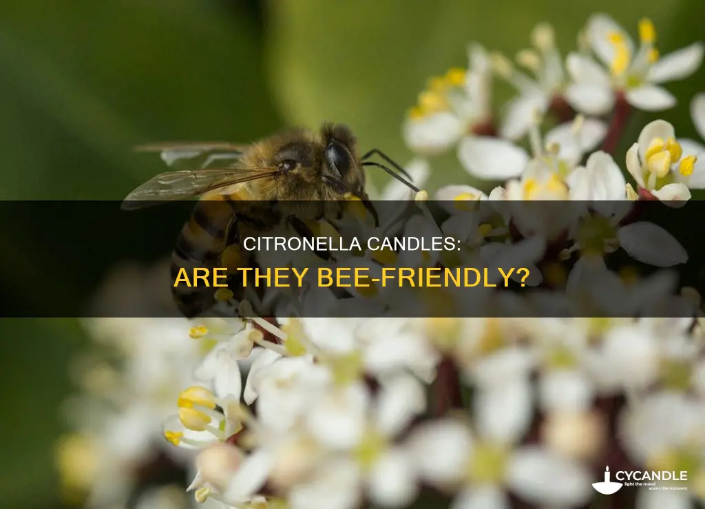 do bees like citronella candles