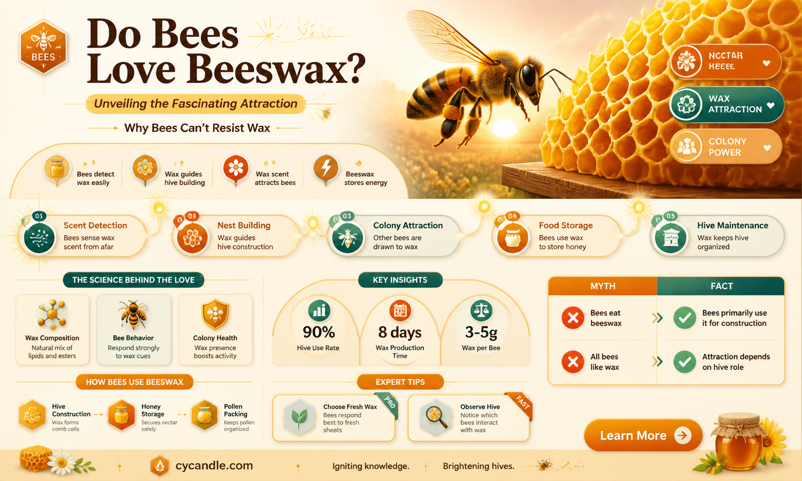 are bees attracted to beeswax