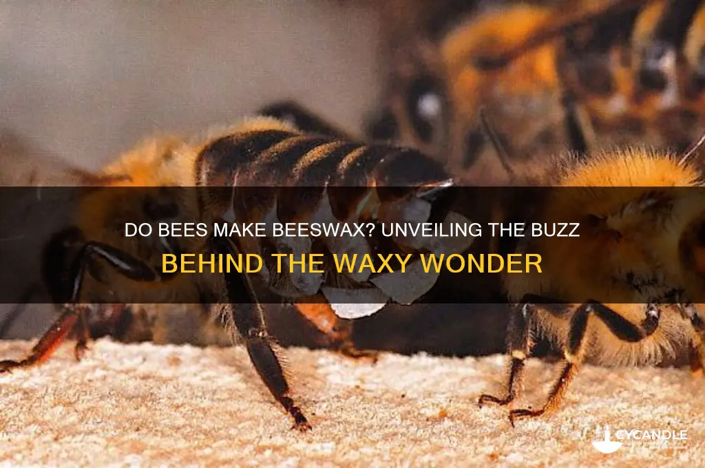 do bees make beeswax