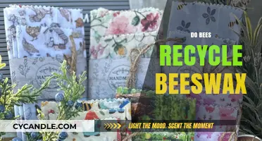 Do Bees Recycle Beeswax? Uncovering Nature's Sustainable Wax Practices
