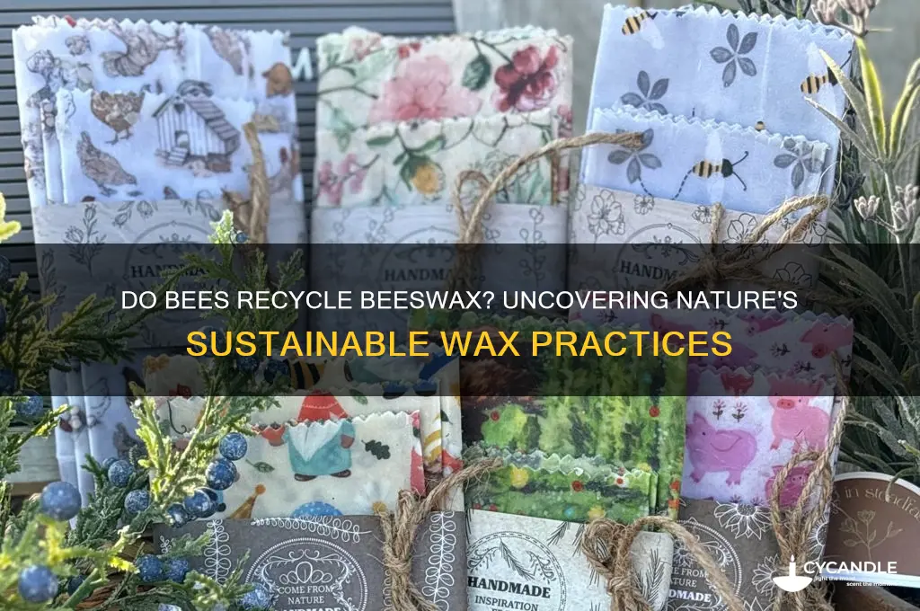 do bees recycle beeswax