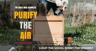 Beeswax Candles: Natural Air Purifiers or Just a Myth?
