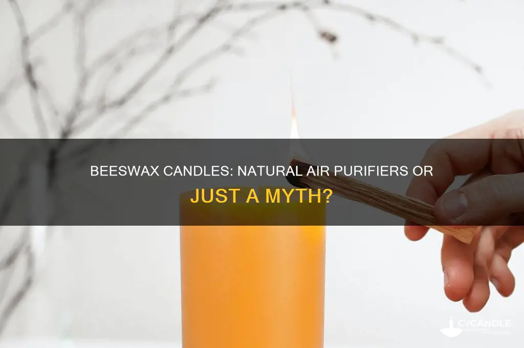 do bees wax candles purify the air