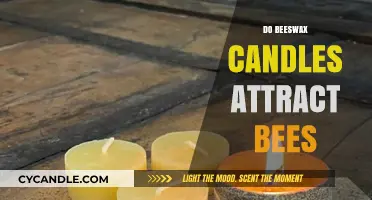 Beeswax Candles: Do They Attract Bees or Not?