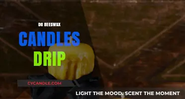 Do Beeswax Candles Drip? The Truth About Clean Burning