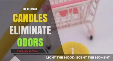 Beeswax Candles: Odor-Fighting Powerhouses for Your Home