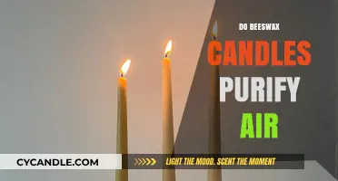 Beeswax Candles: Natural Air Purifiers for Your Home