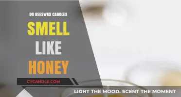 Beeswax Candles: Sweet Honey Scent or Myth?