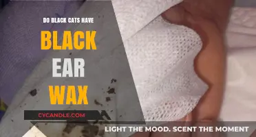 The Truth About Black Cats and Their Ear Wax Color